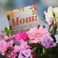 Mom Memory Journal | "Mom, I Want To Hear Your Story" | 250 Prompts